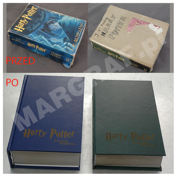 naprawa Harry Potter